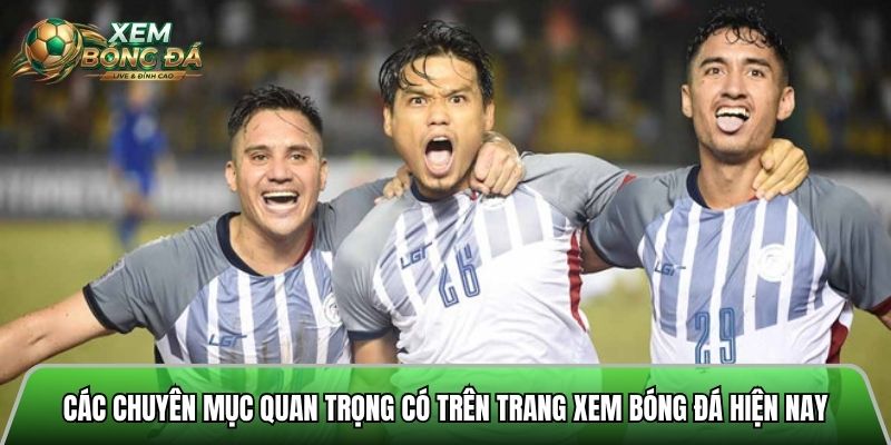 Các chuyên mục quan trọng có trên trang xem bóng đá hiện nay