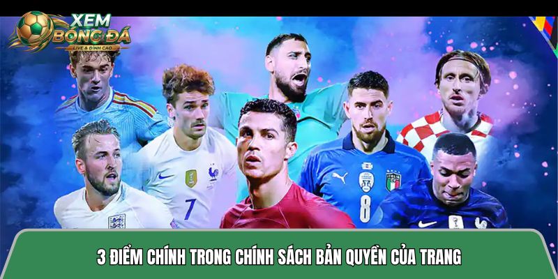 3 điểm chính trong chính sách bản quyền của trang