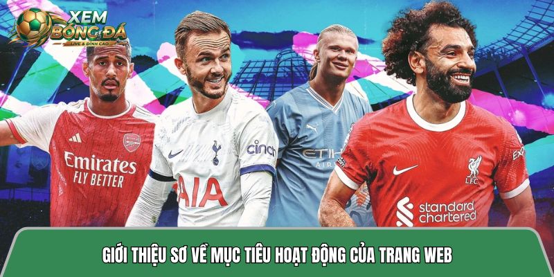 Giới thiệu sơ về mục tiêu hoạt động của trang web