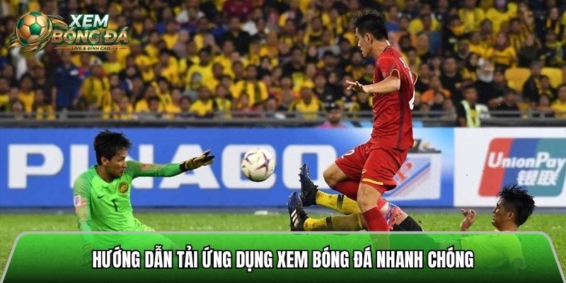 Hướng dẫn tải ứng dụng xem bóng đá nhanh chóng dành cho người mới