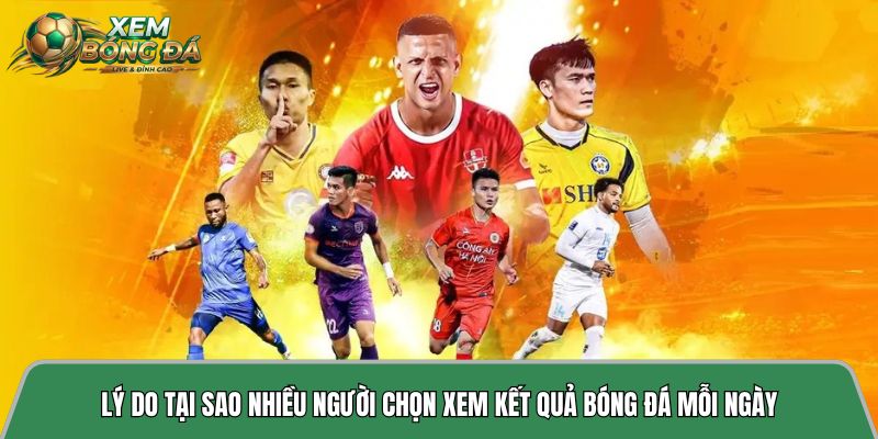 Lý do tại sao nhiều người chọn xem kết quả bóng đá mỗi ngày