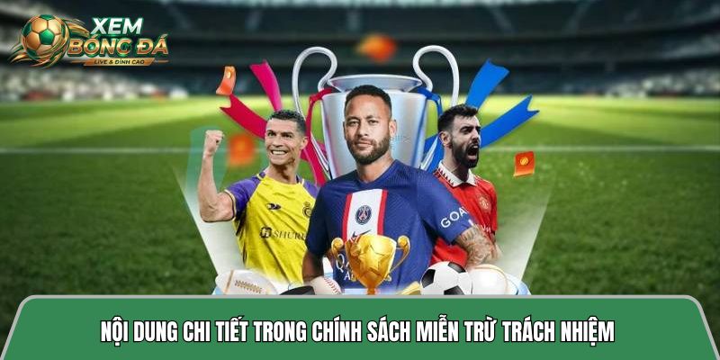 Nội dung chi tiết trong chính sách miễn trừ trách nhiệm 
