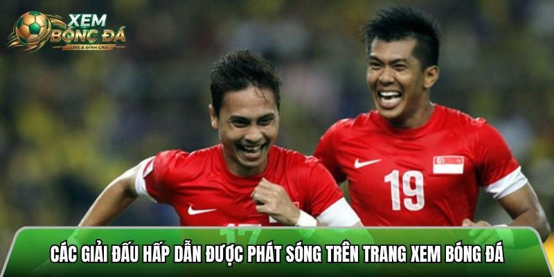 Tổng hợp các giải đấu hấp dẫn được phát sóng trên trang xem bóng đá