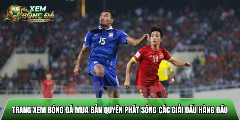 Trang xem bóng đá mua bản quyền phát sóng các giải đấu hàng đầu thế giới