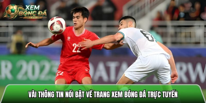 Vài thông tin nổi bật về trang xem bóng đá trực tuyến