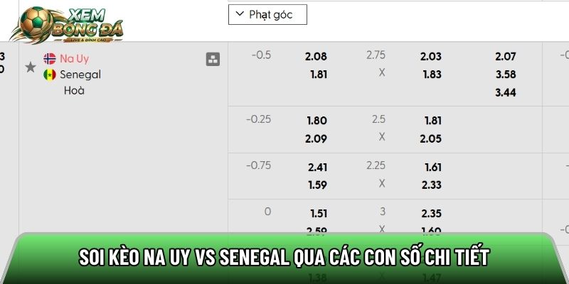 Soi kèo Na Uy vs Senegal qua các con số chi tiết