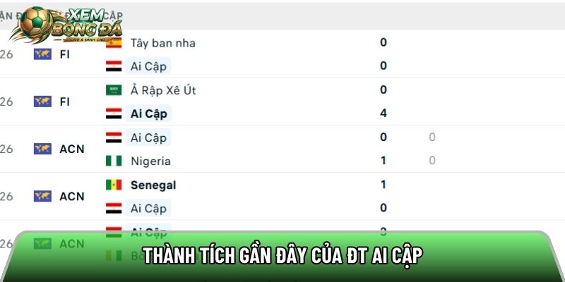 Thành tích gần đây của ĐT New Zealand